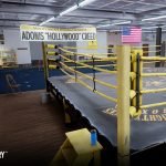 Creed: Rise to Glory, PS4, PSVR, US, gameplay, features, release date, price, trailer, screenshots