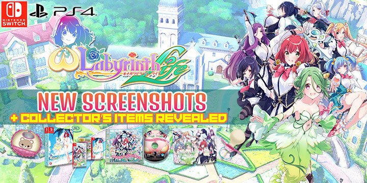 Collector's item, Limited Edition, Collector's Items, Limited items, Omega Labyrinth Life, Nintendo Switch, Switch, PlayStation 4, PS4, Asia, release date, price, English, uncensored, trailer, H2 Interactive, Matrix Software