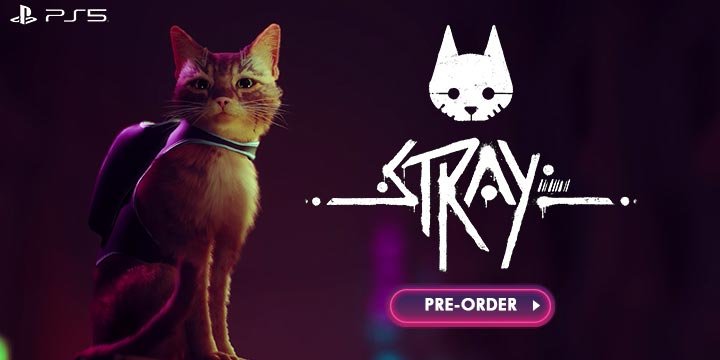 Stray, PlayStation 5, PS5, US, North America, Europe, gameplay, trailer, release date, price, pre-order now, Annapurna Interactive, BlueTwelve Studio, HK Project