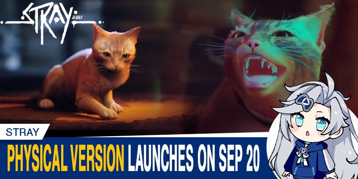Stray PS5 Physical Version 20! Launches September on