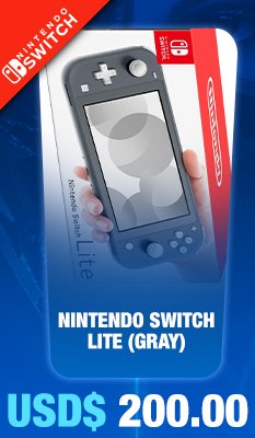 Nintendo Switch Lite (Gray) 
Nintendo
